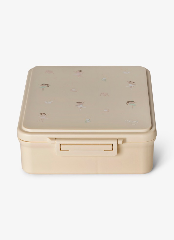 Portable Food Haven: Discover The Perfect Lunch Box For On-The-Go Dining